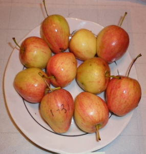 Кулундинское